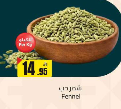 Fennel available at  مخازن هايبرماركت in مملكة العربية السعودية, السعودية, سعودية - تبوك