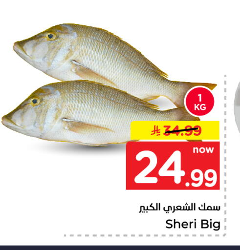 available at نستو in مملكة العربية السعودية, السعودية, سعودية - الخرج