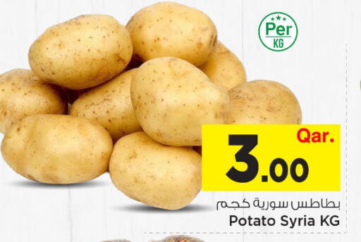 Potato from Syria available at Mark & Save  in Qatar - Al Rayyan