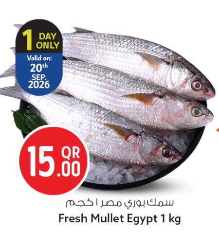 available at سفاري هايبر ماركت in قطر - الخور