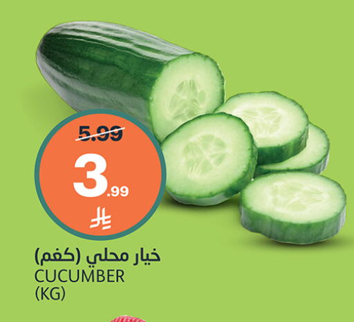 Cucumber available at أسواق الجزيرة in مملكة العربية السعودية, السعودية, سعودية - الرياض