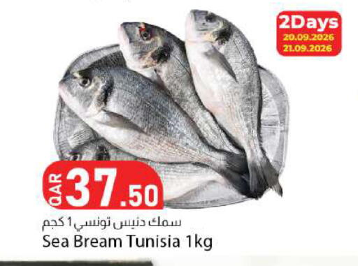 available at دانا ماركت in قطر - الخور