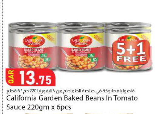 Tomato available at Dana Market in Qatar - Al Shamal