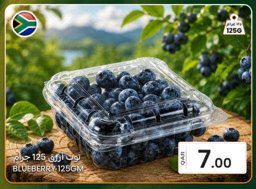 Blueberry BlueBerry available at البلدي اليوم in قطر - الخور