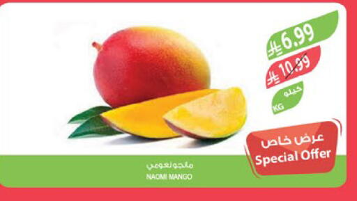 Mango available at المزرعة in مملكة العربية السعودية, السعودية, سعودية - الرياض