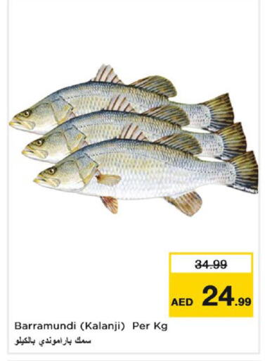 available at Nesto Hypermarket in UAE - Fujairah