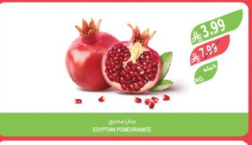 Pomegranate from Egypt available at المزرعة in مملكة العربية السعودية, السعودية, سعودية - الرياض