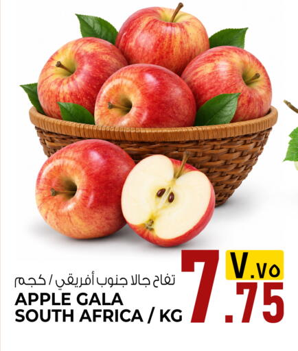 Apple from South Africa available at السعودية in قطر - الشحانية