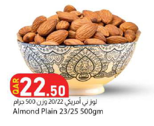 available at دانا ماركت in قطر - الوكرة