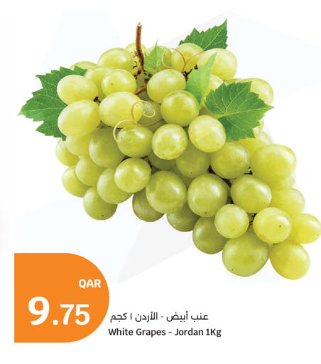 Grapes from Jordan available at City Hypermarket in Qatar - Al Rayyan