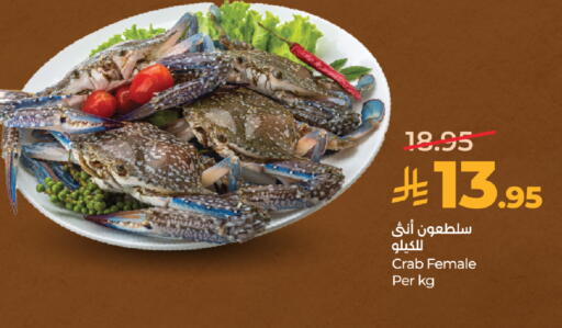 available at LULU Hypermarket in KSA, Saudi Arabia, Saudi - Mecca