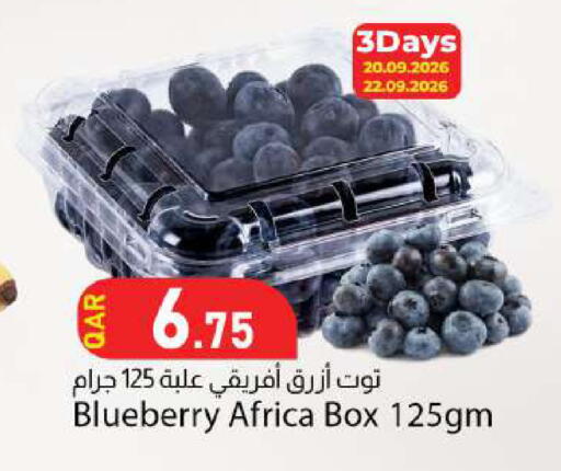 Blueberry BlueBerry available at دانا ماركت in قطر - الوكرة