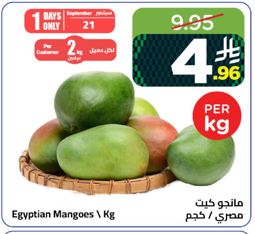 from Egypt available at وهج مارت in مملكة العربية السعودية, السعودية, سعودية - جدة