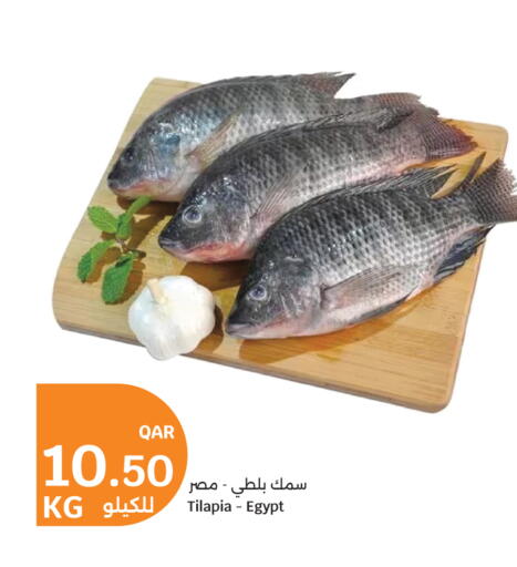 available at سيتي هايبرماركت in قطر - الخور