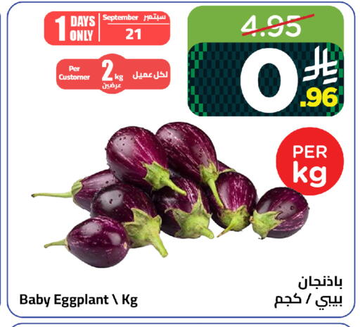 Eggplant available at وهج مارت in مملكة العربية السعودية, السعودية, سعودية - جدة