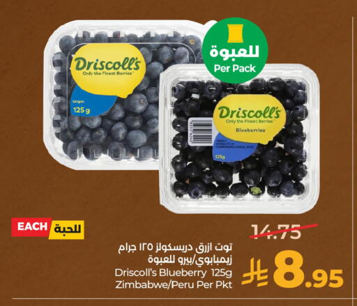 Blueberry BlueBerry from Zimbabwe available at LULU Hypermarket in KSA, Saudi Arabia, Saudi - Hafar Al Batin