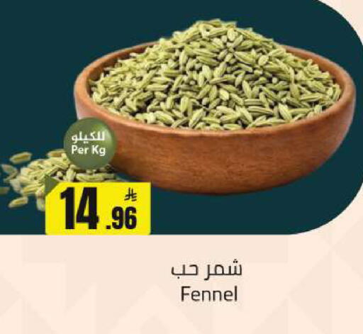 Fennel available at  مخازن هايبرماركت in مملكة العربية السعودية, السعودية, سعودية - حفر الباطن