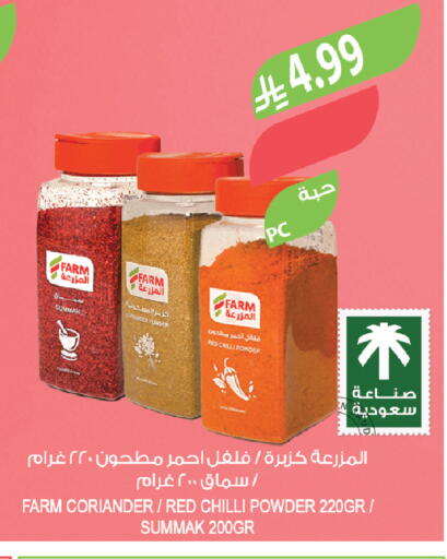 Chilli Coriander Red chilli available at Farm  in KSA, Saudi Arabia, Saudi - Tabuk