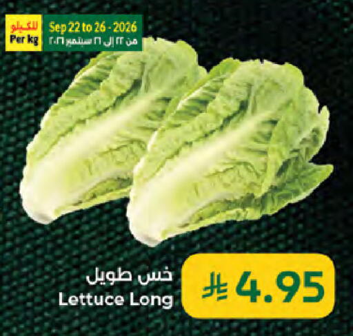 Lettuce available at Kabayan Hypermarket in KSA, Saudi Arabia, Saudi - Jeddah