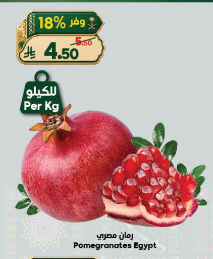 from Egypt available at الدكان in مملكة العربية السعودية, السعودية, سعودية - جدة