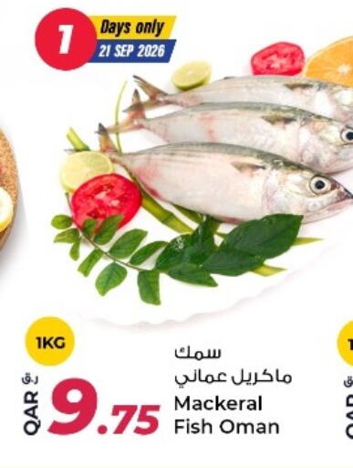 available at روابي هايبرماركت in قطر - الريان