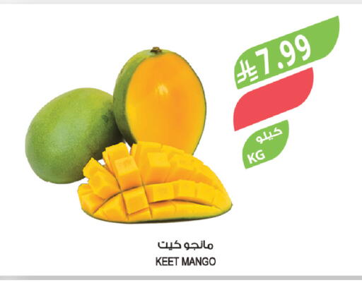 Mango available at Farm  in KSA, Saudi Arabia, Saudi - Al-Kharj