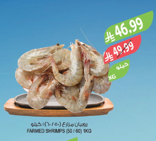 available at Farm  in KSA, Saudi Arabia, Saudi - Tabuk