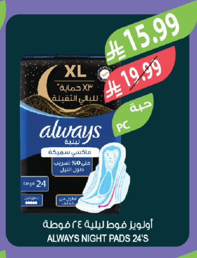 available at Farm  in KSA, Saudi Arabia, Saudi - Tabuk
