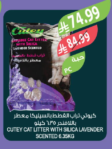 available at Farm  in KSA, Saudi Arabia, Saudi - Al-Kharj