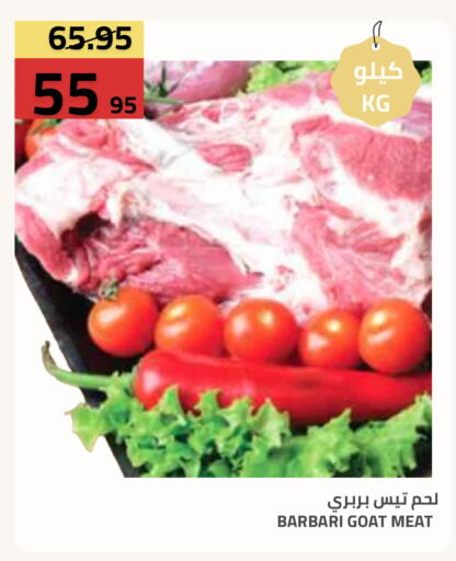 available at أسواق أسترا in مملكة العربية السعودية, السعودية, سعودية - تبوك