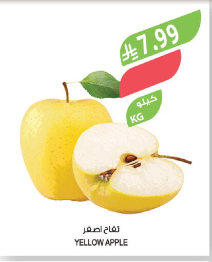 Apple available at المزرعة in مملكة العربية السعودية, السعودية, سعودية - تبوك