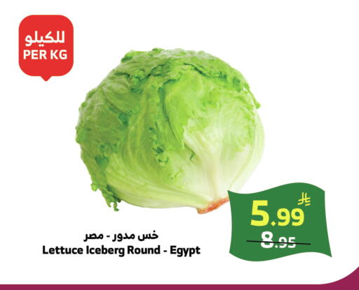 Lettuce from Egypt available at الراية in مملكة العربية السعودية, السعودية, سعودية - خميس مشيط