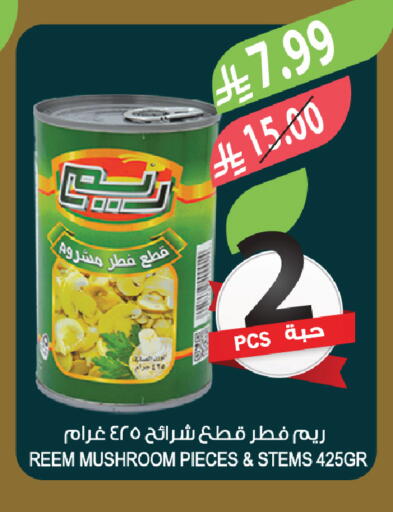 Mushroom available at Farm  in KSA, Saudi Arabia, Saudi - Al-Kharj