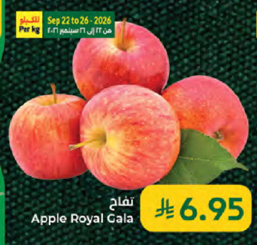 Apple available at Kabayan Hypermarket in KSA, Saudi Arabia, Saudi - Jeddah