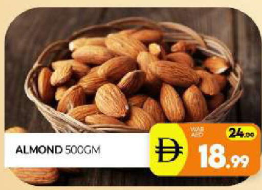 available at Al Madina  in UAE - Sharjah / Ajman