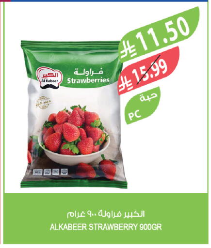 Strawberry available at المزرعة in مملكة العربية السعودية, السعودية, سعودية - الخرج