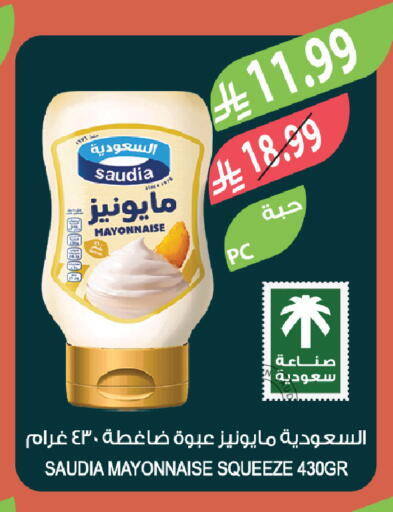 available at المزرعة in مملكة العربية السعودية, السعودية, سعودية - تبوك