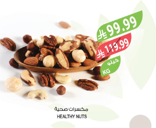 available at المزرعة in مملكة العربية السعودية, السعودية, سعودية - تبوك