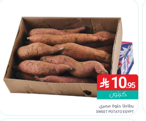 Sweet Potato from Egypt available at Muntazah Markets in KSA, Saudi Arabia, Saudi - Qatif