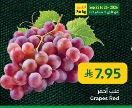 Grapes available at Kabayan Hypermarket in KSA, Saudi Arabia, Saudi - Jeddah