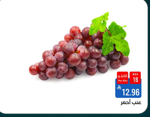 available at شبرا الطائف in مملكة العربية السعودية, السعودية, سعودية - الطائف