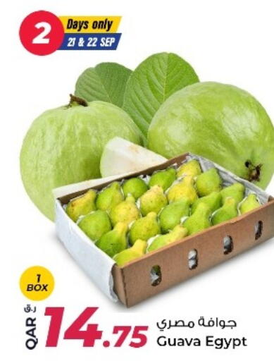 Guava from Egypt available at روابي هايبرماركت in قطر - الريان