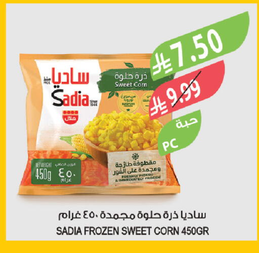 available at Farm  in KSA, Saudi Arabia, Saudi - Tabuk