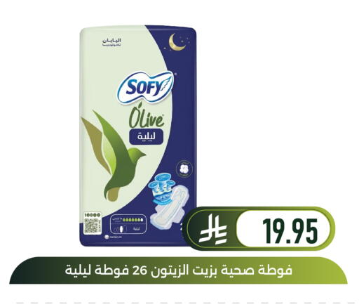 available at Family Discount in KSA, Saudi Arabia, Saudi - Dammam