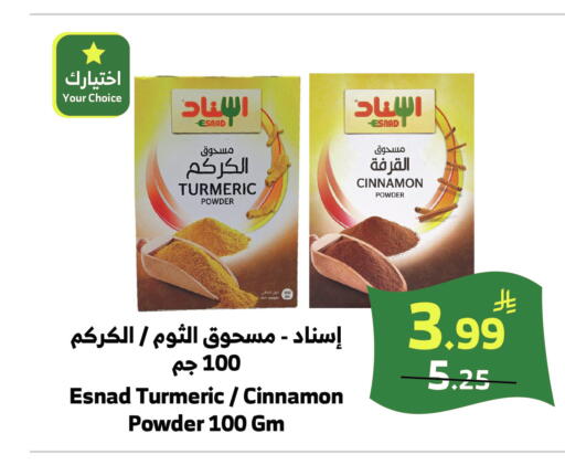 Turmeric Cinnamon available at الراية in مملكة العربية السعودية, السعودية, سعودية - خميس مشيط