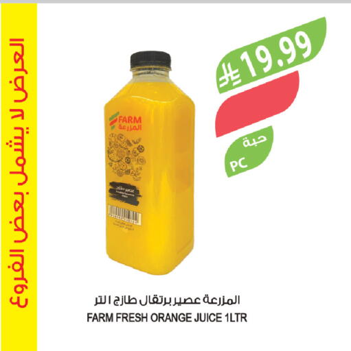 Orange available at المزرعة in مملكة العربية السعودية, السعودية, سعودية - تبوك
