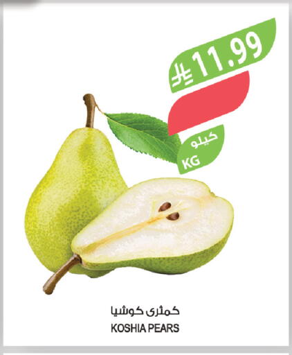 available at المزرعة in مملكة العربية السعودية, السعودية, سعودية - تبوك