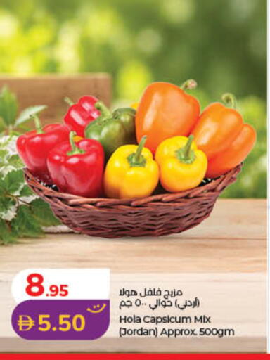 Capsicum from Jordan available at لولو هايبرماركت in الإمارات العربية المتحدة , الامارات - أم القيوين‎