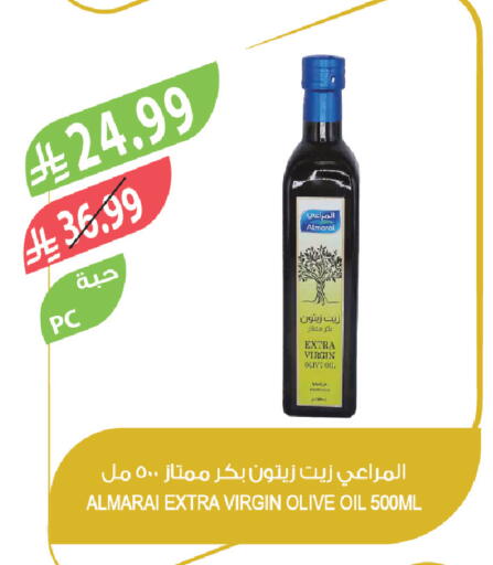 available at المزرعة in مملكة العربية السعودية, السعودية, سعودية - تبوك
