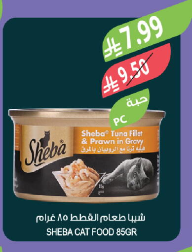 available at Farm  in KSA, Saudi Arabia, Saudi - Tabuk